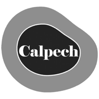 Startup Image
