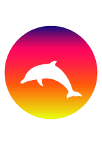Startup Image
