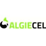 Startup Image