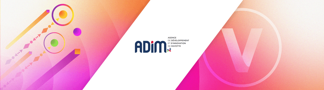 Mayotte Reconstruction Challenge